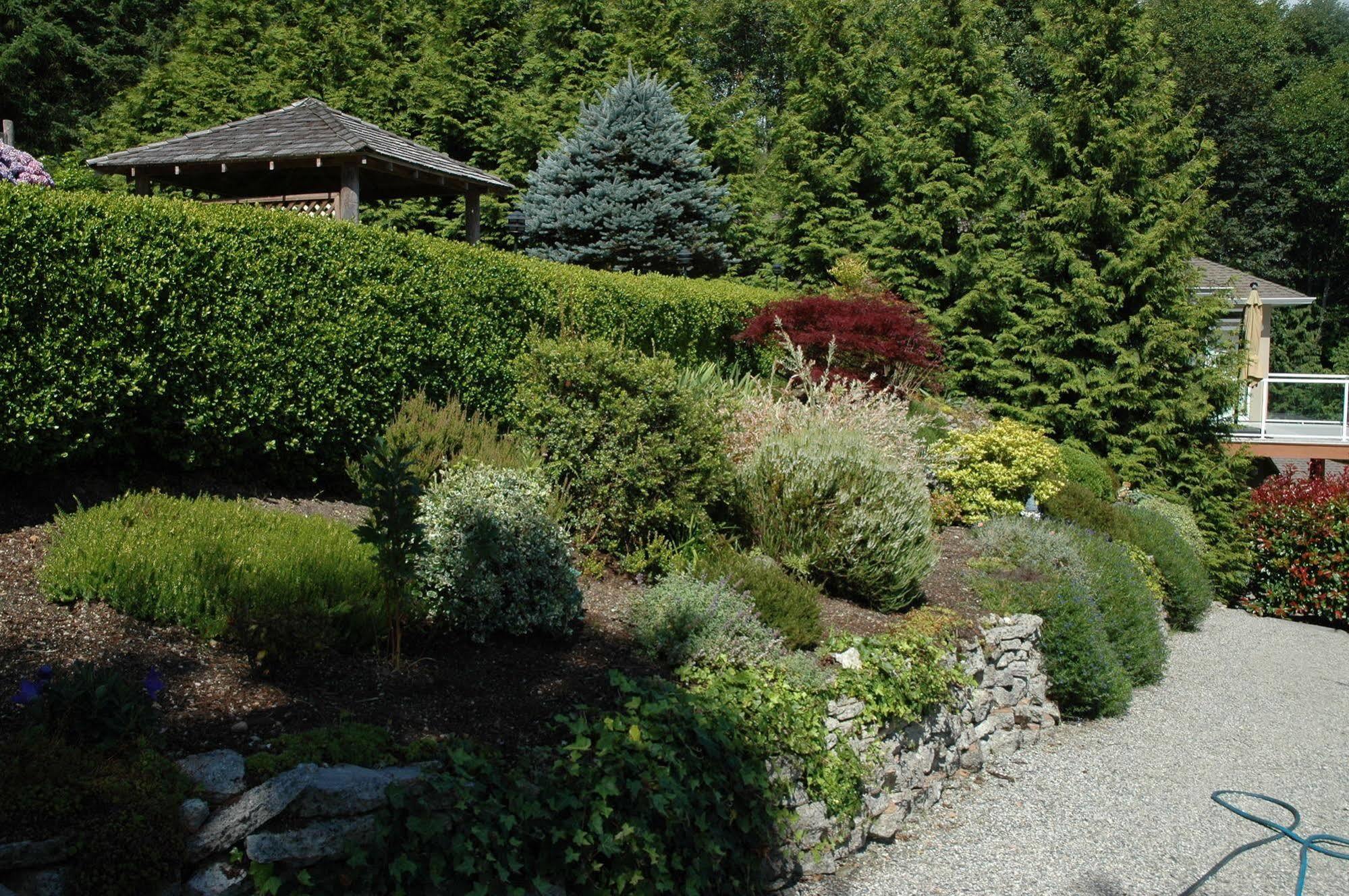 At The Shore Bed And Breakfast Sechelt Kültér fotó